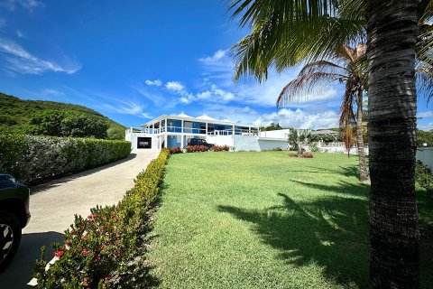 4 bedrooms Villa in Piccadilly, Antigua and Barbuda No. 61398 1