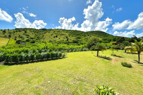 4 bedrooms Villa in Piccadilly, Antigua and Barbuda No. 61398 5