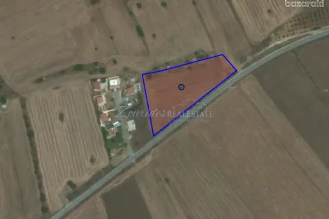 7358m² Land à Mazotos, Cyprus No. 35417 6