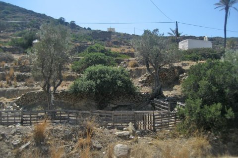 19608m² Land in Ios, Greece No. 59868 2