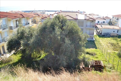 630m² Land in Chalkidiki, Greece No. 59869 4