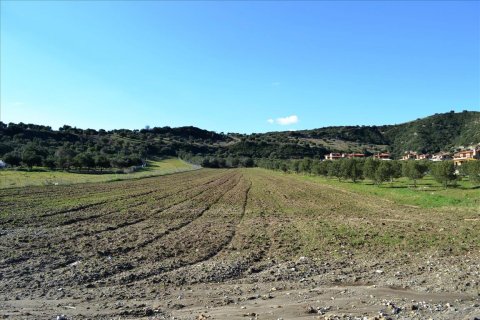 15000m² Land en Chalkidiki, Greece No. 59870 1