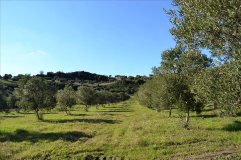 15000m² Land in Chalkidiki, Greece No. 59870 3