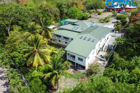 5 chambres House à Westerhall Point, Grenada No. 53168 2