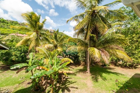 5 chambres House à Westerhall Point, Grenada No. 53168 10