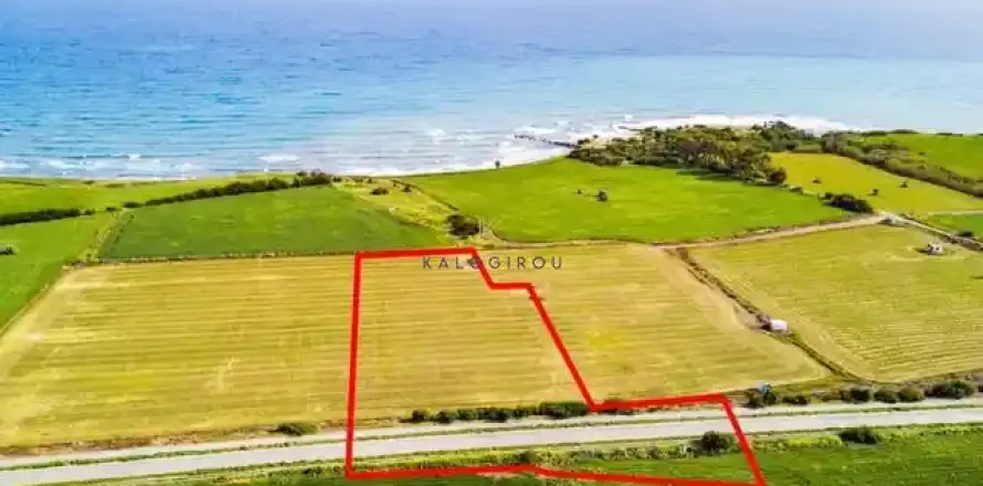 16686m² Land in Mazotos, Cyprus No. 46984