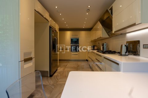 6+1 Villa in Istanbul, Turkey No. 14326 19