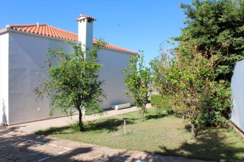 6 bedrooms Villa in Phthiotis, Greece No. 58845 9