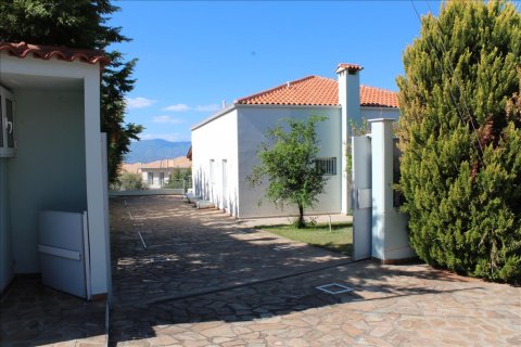 6 dormitorios Villa en Phthiotis, Greece No. 58845 8