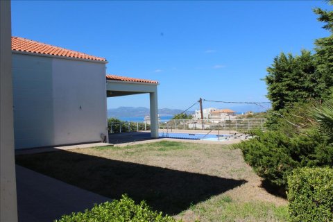 6 bedrooms Villa in Phthiotis, Greece No. 58845 12