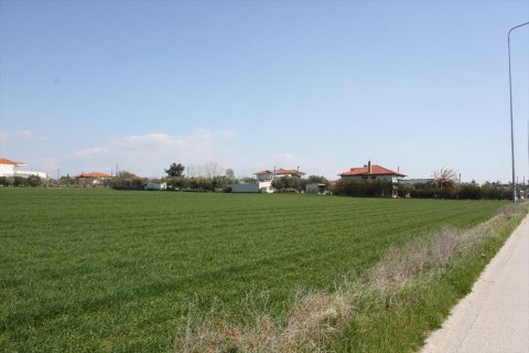 8000m² Land in Thessaloniki, Greece No. 58851 5