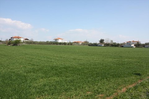 8000m² Land en Thessaloniki, Greece No. 58851 2