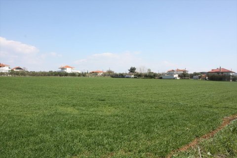 8000m² Land in Thessaloniki, Greece No. 58851 4