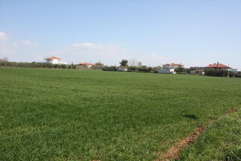 8000m² Land en Thessaloniki, Greece No. 58851 3