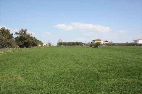 8000m² Land in Thessaloniki, Greece No. 58851 1