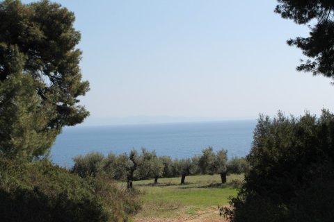 6400m² Land in Chalkidiki, Greece No. 58850 6