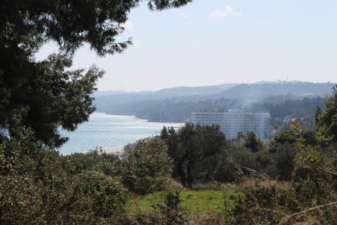 6400m² Land en Chalkidiki, Greece No. 58850 4