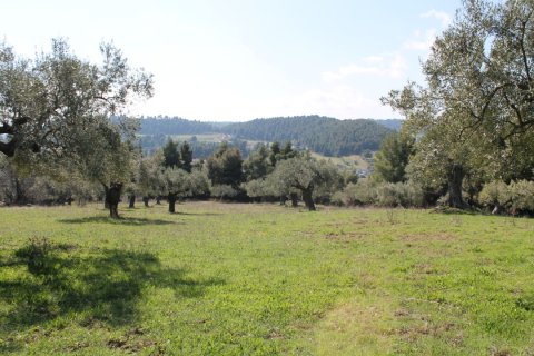 6400m² Land en Chalkidiki, Greece No. 58850 2