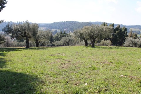 6400m² Land en Chalkidiki, Greece No. 58850 1