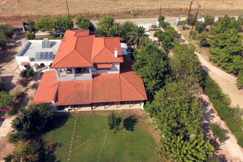 363m² Hotel in Polygyros, Greece No. 58590 8