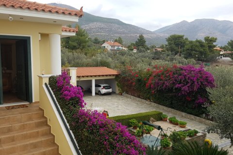 8 bedrooms Villa in Euboea, Greece No. 58606 24