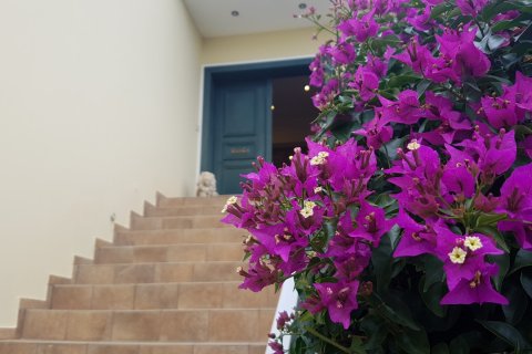 8 bedrooms Villa in Euboea, Greece No. 58606 26