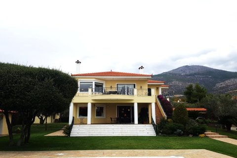 8 chambres Villa à Euboea, Greece No. 58606 22