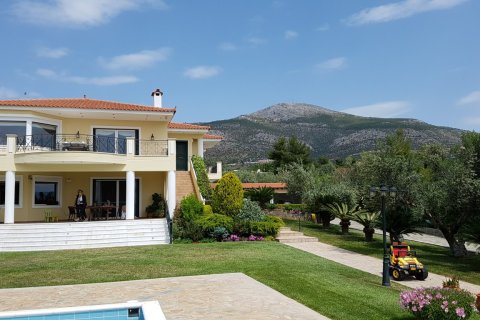 8 dormitorios Villa en Euboea, Greece No. 58606 23