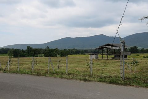 20 dormitorios Land en Chiang Mai, Thailand No. 1402 8