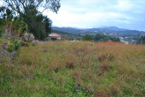 2522m² Land in Corfu, Greece No. 56608 9