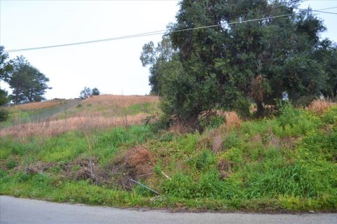 2522m² Land in Corfu, Greece No. 56608 19