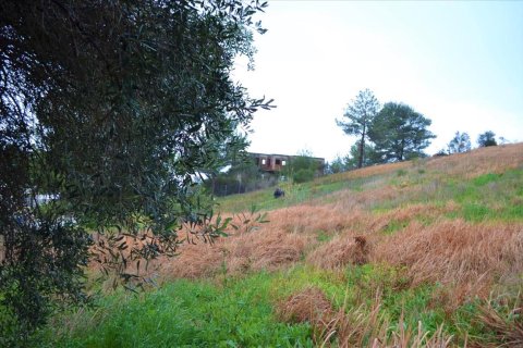 2522m² Land in Corfu, Greece No. 56608 15