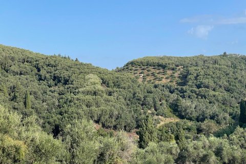 30000m² Land in Corfu, Greece No. 56609 1