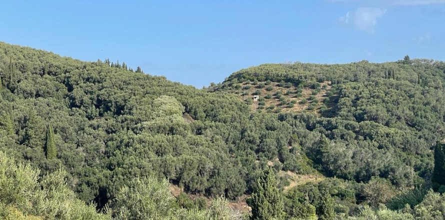 30000m² Land in Corfu, Greece No. 56609