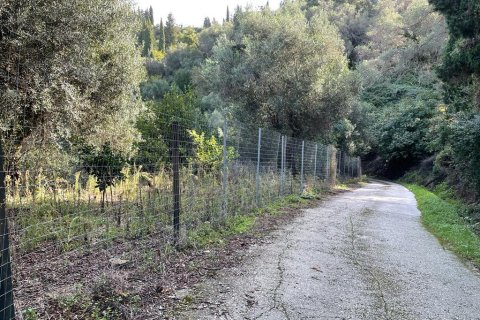 30000m² Land in Corfu, Greece No. 56609 3