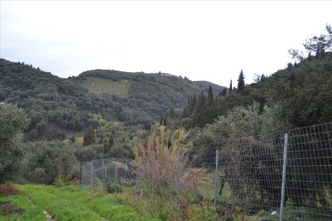 30000m² Land in Corfu, Greece No. 56609 2