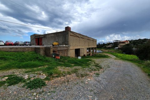 4580m² Land en Agios Nikolaos, Greece No. 56601 2