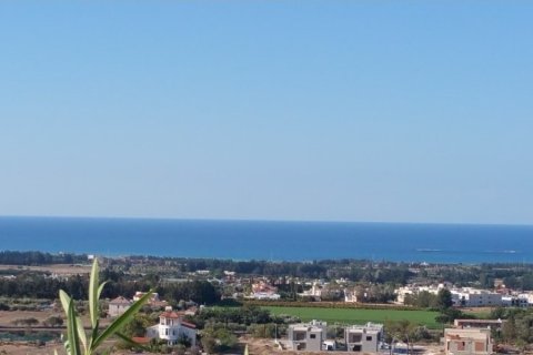 Apartamento tipo estudio Estudio en Paphos, Cyprus No. 51324 14