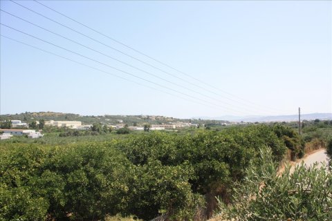 23306m² Land en Chania, Greece No. 57206 2