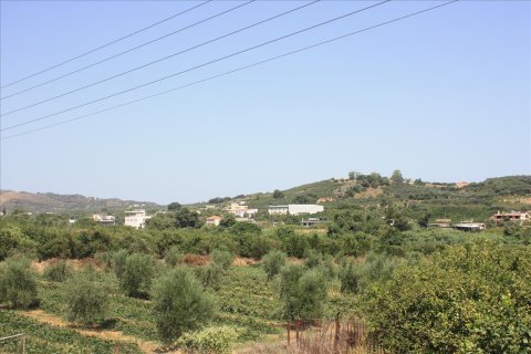 23306m² Land à Chania, Greece No. 57206 5