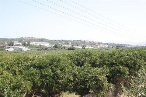 23306m² Land à Chania, Greece No. 57206 8