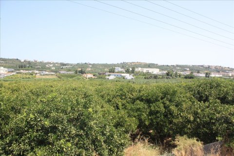 23306m² Land à Chania, Greece No. 57206 6