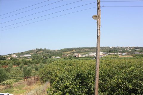 23306m² Land à Chania, Greece No. 57206 4