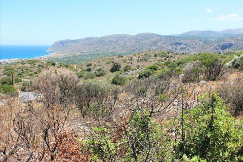 18000m² Land in Neapoli, Greece No. 57204 2