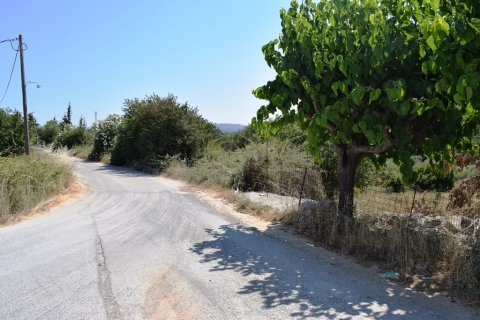 8500m² Land in Rethymno, Greece No. 57207 4