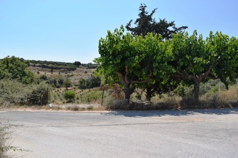 8500m² Land à Rethymno, Greece No. 57207 6