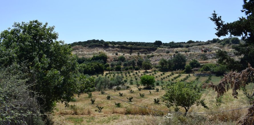 8500m² Land en Rethymno, Greece No. 57207