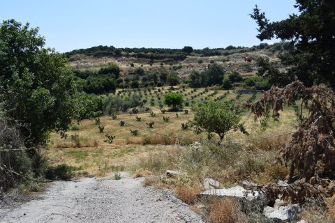 8500m² Land à Rethymno, Greece No. 57207 3