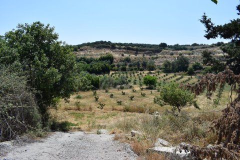 8500m² Land in Rethymno, Greece No. 57207 7