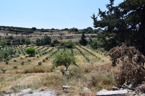 8500m² Land in Rethymno, Greece No. 57207 2